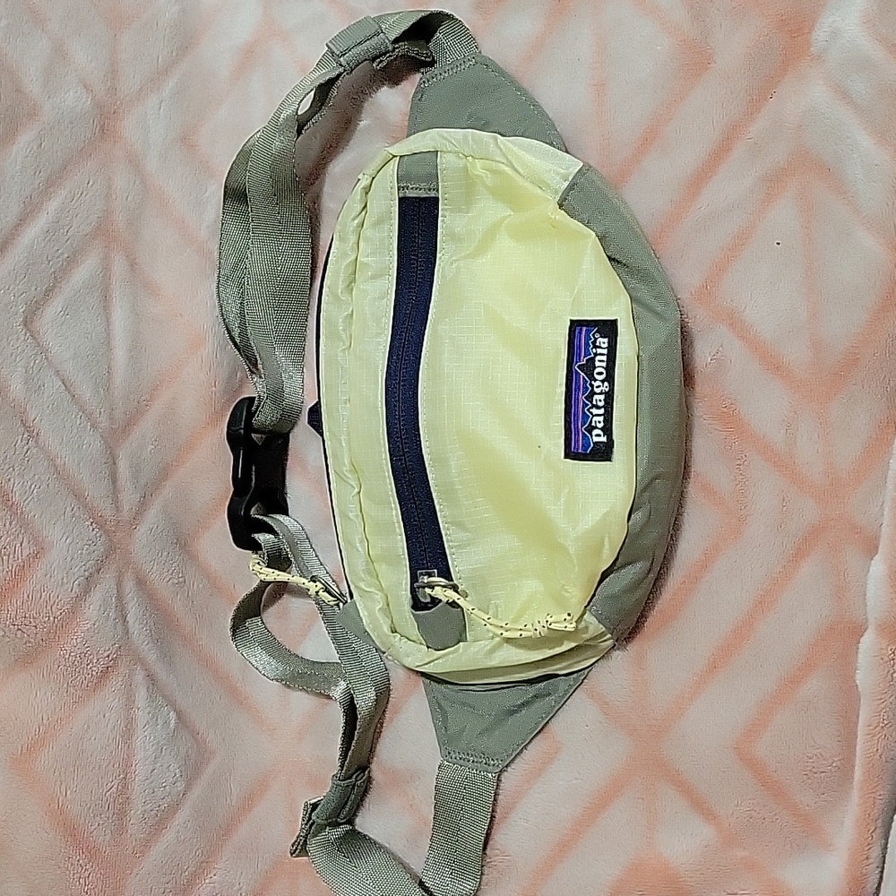Patagonia Lightweight Travel Mini Hip Pack